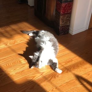 Meet your Posher, Stacy